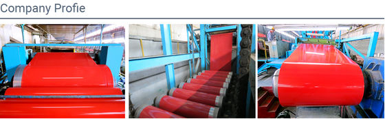 Custom Prepainted Steel Coil  0.12mm-6.0mm Pre Painted Galvanized Steel Sheet