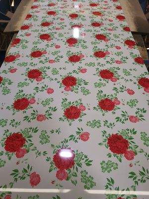 HDP Coated Steel Sheet 0.2mm-0.6mm Printed Steel Coil Sheet